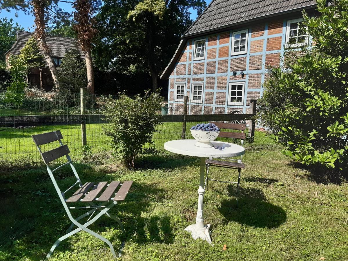 Schoenes Apartment Vor Den Toren Hamburgs - Keine Monteurwohnung Asendorf Exterior photo